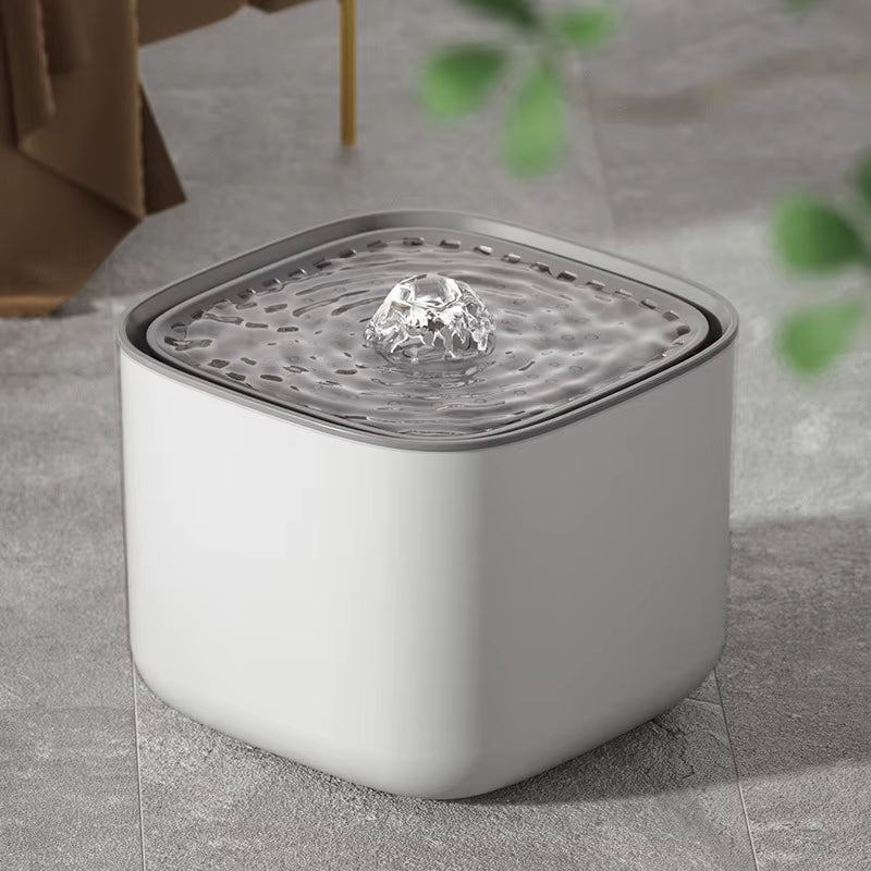 Cat Fountain