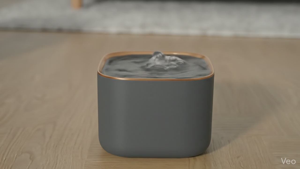 Cat Fountain